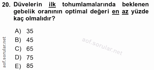 20. soru: Düvelerin ilk tohumlamalarında beklenen gebelik oranının optimal değeri en az yüzde kaç olmalıdır? A) 35 B) 45 C) 65…