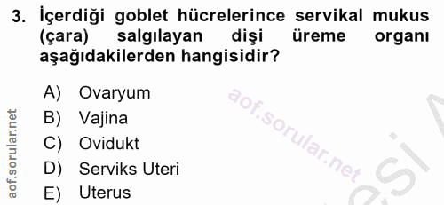 3. soru: İçerdiği goblet hücrelerince servikal mukus (çara) salgılayan dişi üreme organi aşağıdakilerden hangisidir? A) Ovaryu…
