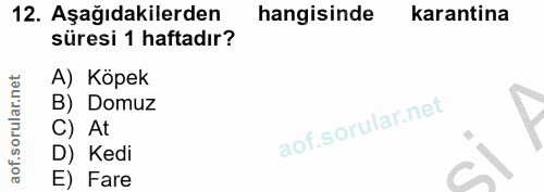 12. soru: Aşağıdakilerden hangisinde karantina süresi 1 haftadır? A) Köpek B) Domuz C) At D) Kedi E) Fare