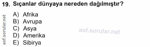 19. soru: Sıçanlar dünyaya nereden dağılmıştır? lar.net A) Afrika B) Avrupa C) Asya D) Amerika aof. E) Sibirya