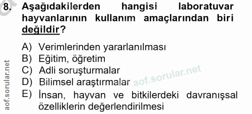 8. soru: Aşağıdakilerden hangisi laboratuvar hayvanlarının kullanım amaçlarından biri değildir? A) Verimlerinden yararlanılmas…