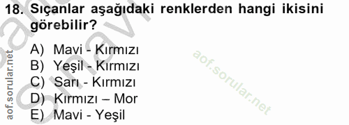 18. soru: Sıçanlar aşağıdaki renklerden hangi ikisini görebilir? A) Mavi - Kırmızı B) Yeşil - Kırmızı C) Sarı - Kırmızı D) Kırm…