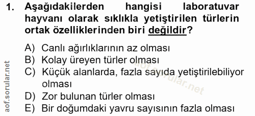 1. soru: Aşağıdakilerden hangisi laboratuvar hayvanı olarak sıklıkla yetiştirilen türlerin ortak özelliklerinden biri değildir…