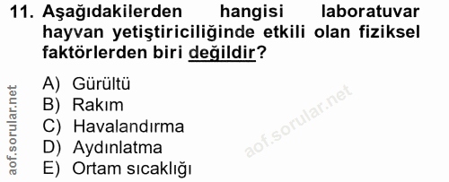 11. soru: Aşağıdakilerden hangisi laboratuvar hayvan yetiştiriciliğinde etkili olan fiziksel faktörlerden biri değildir? A) Gür…