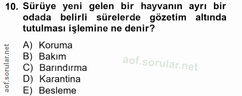 10. soru: Sürüye yeni gelen bir hayvanın ayrı bir odada belirli sürelerde gözetim altında tutulması işlemine ne denir? A) Korum…