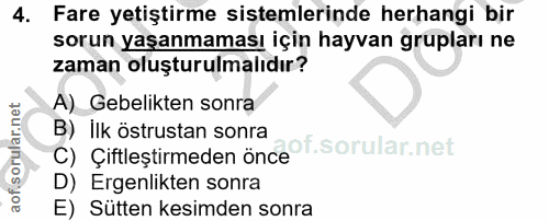 4. soru: Fare yetiştirme sistemlerinde herhangi bir sorun yaşanmaması için hayvan grupları ne zaman oluşturulmalıdır? A) Gebel…