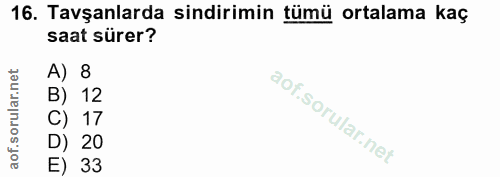 16. soru: Tavşanlarda sindirimin tümü ortalama kaç saat sürer? A) 8 orular.net B) 12 C) 17 D) 20 aof. E) 33