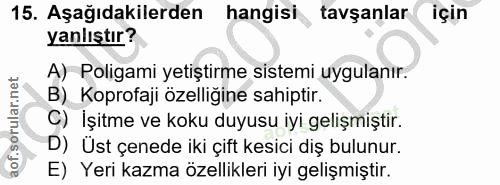 15. soru: Aşağıdakilerden hangisi tavşanlar için yanlıştır? A) Poligami yetiştirme sistemi uygulanır. B) Koprofaji özelliğine s…