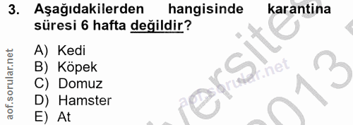 3. soru: Aşağıdakilerden hangisinde karantina süresi 6 hafta değildir? A) Kedi B) Köpek ersit C) Domuz D) Hamster E) At