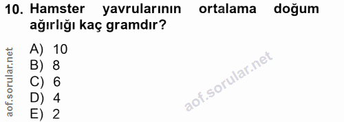 10. soru: Hamster yavrularının ortalama doğum ağırlığı kaç gramdır? A) 10 B) 8 C) 6 aof. D) 4 E) 2