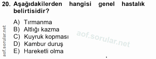 20. soru: Aşağıdakilerden hangisi genel hastalık belirtisidir? A) Tırmanma B) Altlığı kazma C) Kuyruk kopması D) Kambur duruş E…