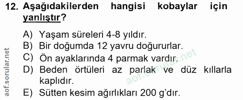 12. soru: Aşağıdakilerden hangisi kobaylar için yanlıştır? A) Yaşam süreleri 4-8 yıldır. B) Bir doğumda 12 yavru doğururlar. C)…