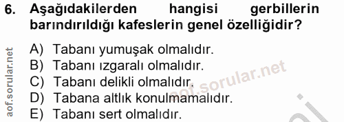 6. soru: Aşağıdakilerden hangisi erbillerin barındırıldığı kafeslerin genel özelliğidir? A) Tabanı yumuşak olmalıdır. B) Taban…