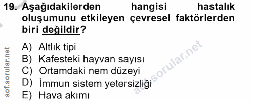 19. soru: Aşağıdakilerden hangisi hastalık oluşumunu etkileyen çevresel faktörlerden biri değildir? A) Altlık tipi lar.ne B) Ka…