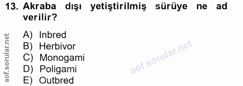 13. soru: Akraba dışı yetiştirilmiş sürüye ne ad verilir? A) Inbred B) Herbivor C) Monogami D) Poligami E) Outbred