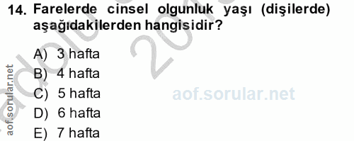 14. soru: Farelerde cinsel olgunluk yaşı (dişilerde) aşağıdakilerden hangisidir? A) 3 hafta B) 4 hafta C) 5 hafta D) 6 hafta E)…
