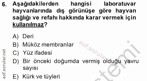 6. soru: Aşağıdakilerden hangisi laboratuvar hayvanlarında dış görünüşe göre hayvan sağlığı ve refahı hakkında karar vermek iç…