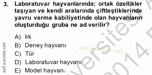 3. soru: Laboratuvar hayvanlarında; ortak özellikler taşıyan ve kendi aralarında çiftleştiklerinde yavru verme kabiliyetinde o…