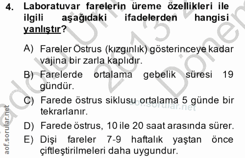 4. soru: Laboratuvar farelerin üreme özellikleri ile ilgili aşağıdaki ifadelerden hangisi yanlıştır? A) Fareler Östrus (kızgın…