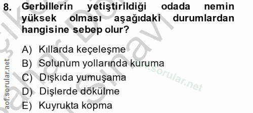 8. soru: Gerbillerin yetiştirildiği odada nemin yüksek olması aşağıdaki durumlardan hangisine sebep olur? A) Kıllarda keçeleşm…
