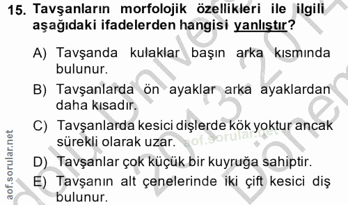 15. soru: Tavşanların morfolojik özellikleri ile ilgili aşağıdaki ifadelerden hangisi yanlıştır? A) Tavşanda kulaklar başın ark…