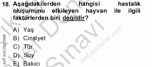 18. soru: Aşağıdakilerden hangisi hastalık oluşumunu etkileyen hayvan ile ilgili faktörlerden biri değildir? A) Yaş B) Cinsiyet…
