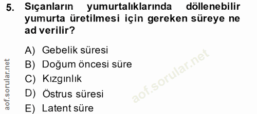 5. soru: Sıçanların yumurtalıklarında döllenebilir yumurta üretilmesi için gereken süreye ne ad verilir? A) Gebelik süresi B)…