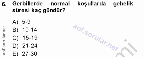 6. soru: Gerillerde normal koşullarda gebelik süresi kaç gündür? A) 5-9 B) 10-14 C) 15-19 D) 21-24 E) 27-30