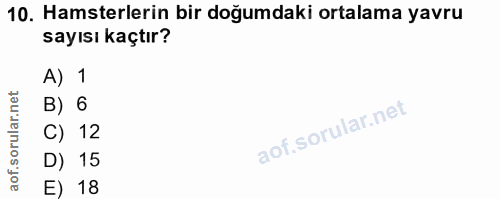 10. soru: Hamsterlerin bir doğumdaki ortalama yavru sayısı kaçtır? A) 1 B) 6 C) 12 D) 15 E) 18