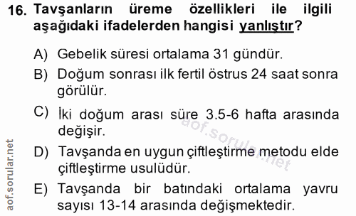 16. soru: Tavşanların üreme özellikleri ile ilgili aşağıdaki ifadelerden hangisi yanlıştır? A) Gebelik süresi ortalama 31 gündü…