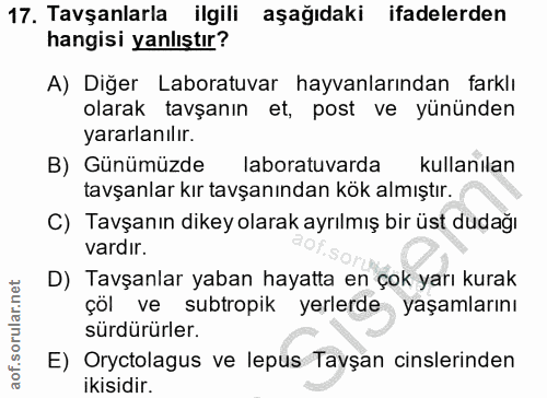 17. soru: Tavşanlarla ilgili aşağıdaki ifadelerden hangisi yanlıştır? A) Diğer Laboratuvar hayvanlarından farklı olarak tavşanı…
