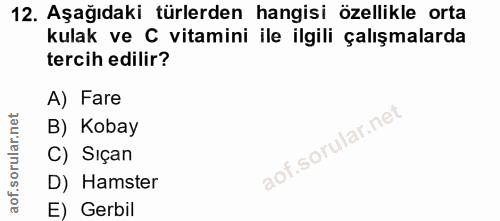 12. soru: Aşağıdaki türlerden hangisi özellikle orta kulak ve C vitamini ile ilgili çalışmalarda tercih edilir? A) Fare B) Koba…
