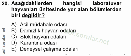 20. soru: Aşağıdakilerden hangisi laboratuvar hayvanları ünitesinde yer alan bölümlerden biri değildir? A) Acil müdahale odası…