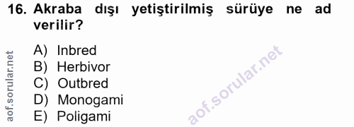 16. soru: Akraba dışı yetiştirilmiş sürüye ne ad verilir? A) Inbred B) Herbivor C) Outbred D) Monogami E) Poligami