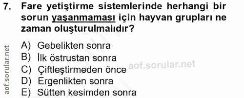 7. soru: Fare yetiştirme sistemlerinde herhangi bir sorun yaşanmaması için hayvan grupları ne zaman oluşturulmalıdır? A) Gebel…
