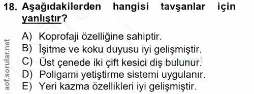 18. soru: Aşağıdakilerden hangisi tavşanlar için yanlıştır? A) Koprofaji özelliğine sahiptir. B) İşitme ve koku duyusu iyi geli…