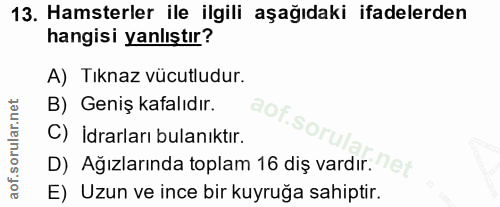 13. soru: Hamsterler ile ilgili aşağıdaki ifadelerden hangisi yanlıştır? A) Tıknaz vücutludur. B) Geniş kafalıdır. aof.sor C) İ…