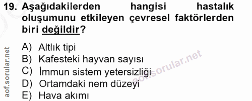 19. soru: Aşağıdakilerden hangisi hastalik oluşumunu etkileyen çevresel faktörlerden biri değildir? A) Altlık tipi C) Immun sis…