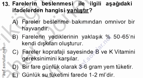 13. soru: Farelerin beslenmesi ile ilgili aşağıdaki ifadelerden hangisi yanlıştır? A) Fareler beslenme bakımından omnivor bir h…