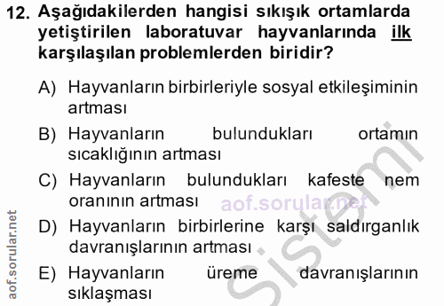 12. soru: Aşağıdakilerden hangisi sıkışık ortamlarda yetiştirilen laboratuvar hayvanlarında ilk karşılaşılan problemlerden biri…
