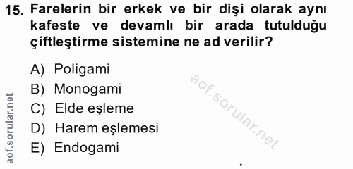15. soru: Farelerin bir erkek ve bir dişi olarak aynı kafeste ve devamlı bir arada tutulduğu çiftleştirme sistemine ne ad veril…