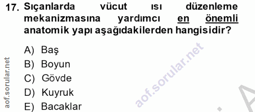 17. soru: Siçanlarda vücut ISI düzenleme mekanizmasına yardımcı en önemli anatomik yapı aşağıdakilerden hangisidir? A) Baş B) B…
