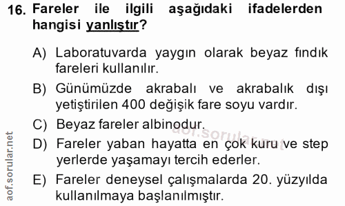 16. soru: Fareler ile ilgili aşağıdaki ifadelerden hangisi yanlıştır? A) Laboratuvarda yaygın olarak beyaz fındık fareleri kull…