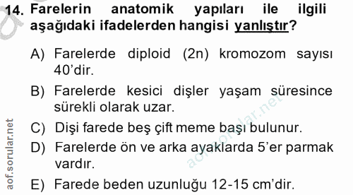 14. soru: Farelerin anatomik yapıları ile ilgili aşağıdaki ifadelerden hangisi yanlıştır? A) Farelerde diploid (2n) kromozom sa…