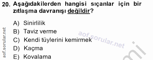 20. soru: Aşağıdakilerden hangisi sıçanlar için bir zıtlaşma davranışı değildir? A) Sinirlilik C) Kendi tüylerini kemirmek orul…
