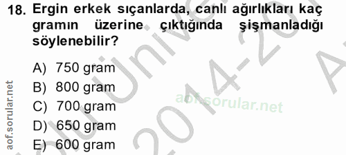 18. soru: Ergin erkek sıçanlarda, canlı ağırlıkları kaç gramin üzerine çıktığında şişmanladığı söylenebilir? A) 750 gram B) 800…