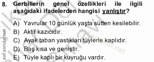 8. soru: Gerillerin genel özellikleri ile ilgili aşağıdaki ifadelerden hangisi yanlıştır? A) Yavrular 10 günlük yaşta sütten k…