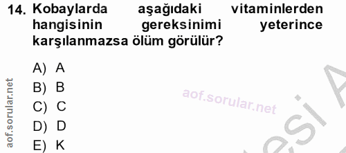 14. soru: Kobaylarda aşağıdaki vitaminlerden hangisinin gereksinimi yeterince karşılanmazsa ölüm görülür? A) A B) B C) C D) D E) K
