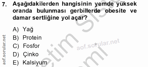 7. soru: Aşağıdakilerden hangisinin yemde yüksek oranda bulunması gerillerde obesite ve damar sertligine yol açar? A) Yağ B) P…