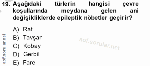 19. soru: Aşağıdaki türlerin hangisi çevre koşullarında meydana gelen ani değişikliklerde epileptik nöbetler geçirir? A) Rat B)…